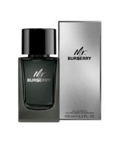 BURBERRY Mr Burberry EDP 100ml